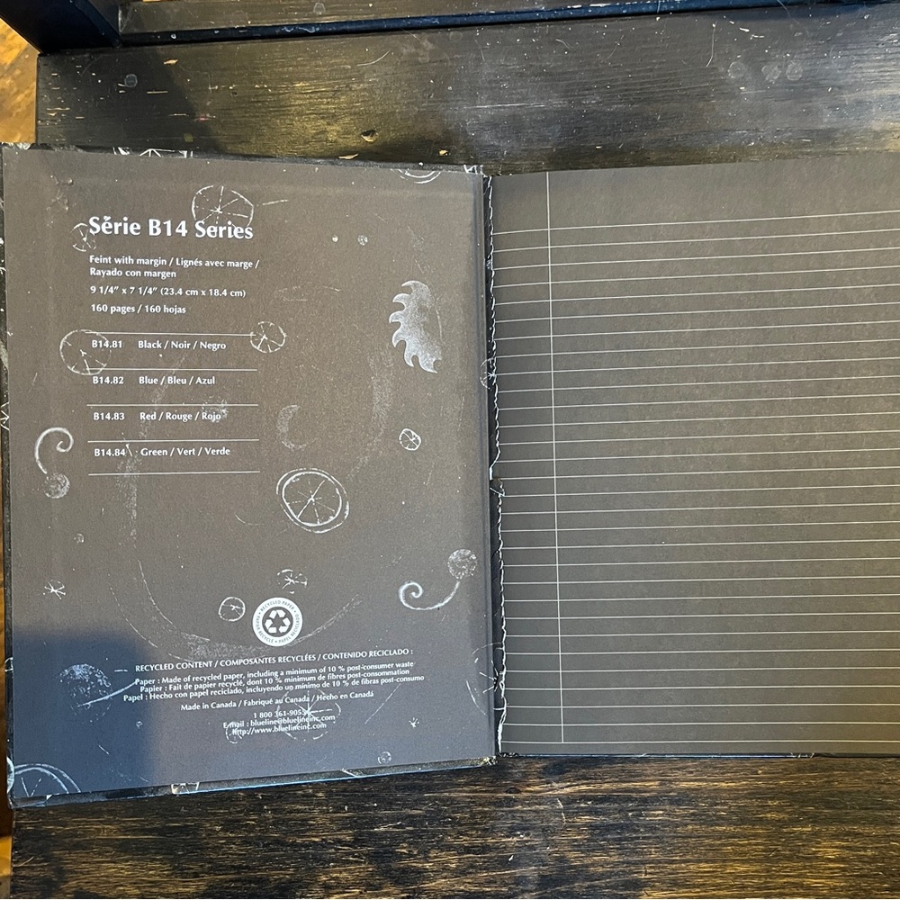 Série B14 Black and white whimsical Notebook